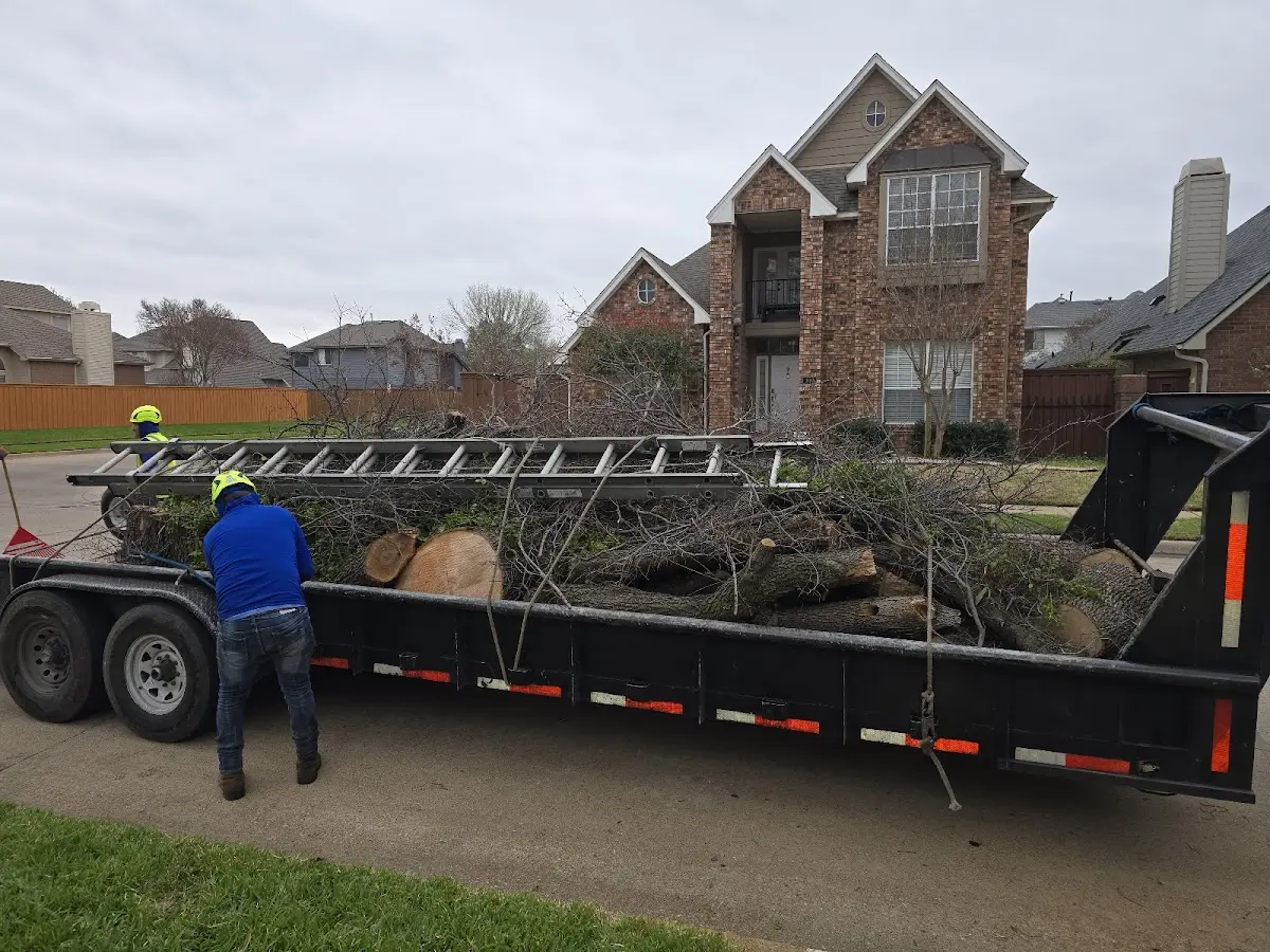Expert Tree Fertilization with proper safety equipment in Mayfield